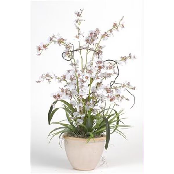 Dancing Lady Silk Orchid Arrangement, Nearly Natural, Mfr#: 1005-WH